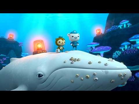 OCTONAUTS: The Mystery of the Ghost Whale! 🐋👻