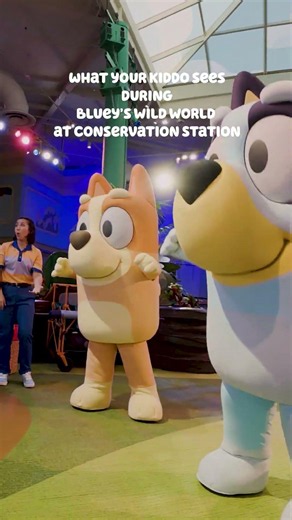 For real life 💙🧡 A look at Bluey's Wild World at Conservation Station at Disney's Animal Kingdom 👀