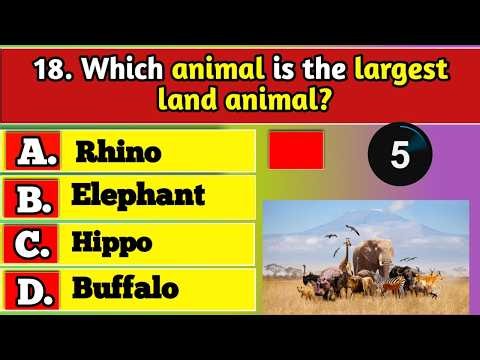 General Knowledge Trivia Quiz | Test Your Brain with Fun Questions & Ultimate Challenge Today!