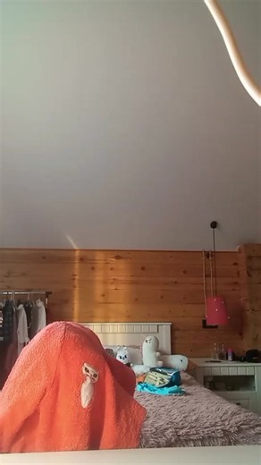 VID_20261005_032617_637