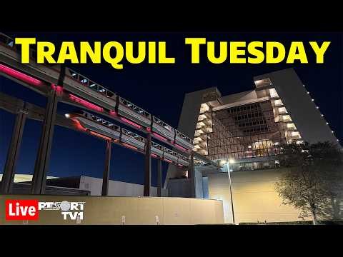 🔴Live: Tranquil Tuesday at Magic Kingdom & the Monorail Resorts - Walt Disney World - 7-14-26