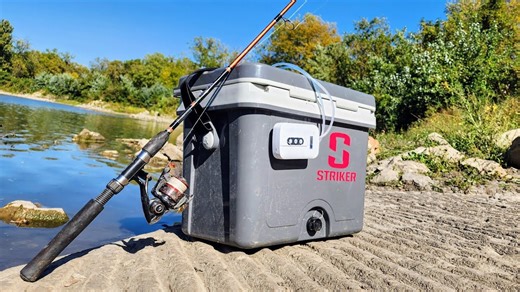 Top fall bait for catching catfish