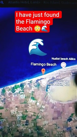 The Flamingo Beach 😳🌊 on the Google Earth?🌎