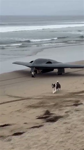 B-2 Bomber RC Scale Model Beach Landing | Looks Full-Size! 🛩️🔥 #RCPlane