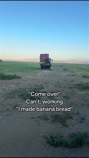 How to Stack Hay in Idaho: Simple Farm Work Tips