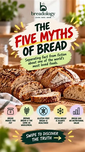 5 Bread Myths, Busted by Science Myth #1: Bread makes you fat No single food makes you gain weight. What matters is your overall diet and how much you eat. The NHS says starchy foods like bread… | Breadology