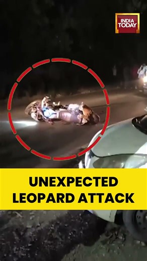 Viral Video | UNEXPECTED LEOPARD ATTACK #Wildlife #Leopard #Bhimtal #ViralVideo #AnimalRescue