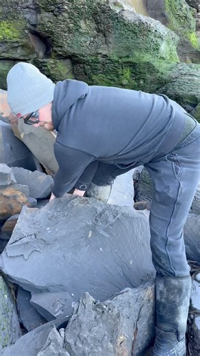 What an incredible discovery! 🤩 We stumbled upon a massive shale collapse
