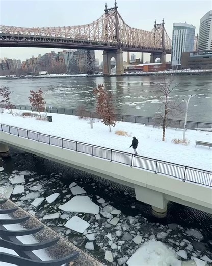 Winter blues in Sutton Place New York City The snowy East River Greenway (or Esplanade) is a scenic, mostly paved waterfront path on the east side of Manhattan, featuring separated, well-lit pedestrian and bike lanes. It offers iconic views of the Queensboro Bridge, Roosevelt Island, and the icy East River and skyline. Filmed today, January 28, 2026 📍East River Greenway and Sutton Place Park, Manhattan, New York City #winterinnewyork كآبة الشتاء في سَتُن بليس – مدينة نيويورك ❄️ يمتد ممشى نهر إي