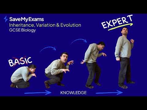 Inheritance, Variation & Evolution: AQA GCSE Biology