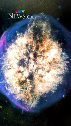 James Webb Telescope Reveals Brain-like Nebula