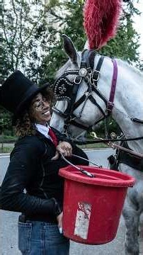 NYC Bans Horse-Drawn Carriages After Decade-Long Battle