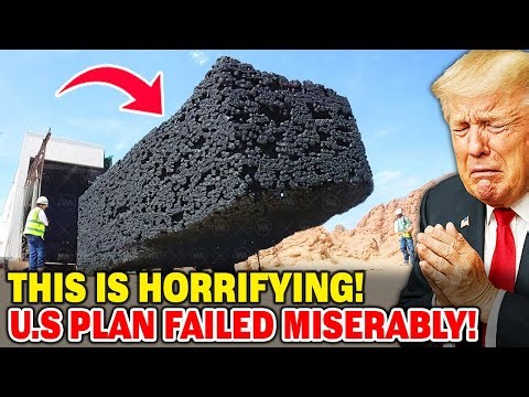 Footage Of Something That Started Killing All Ants In U.S. Reveals The Aftermath Nobody Expected