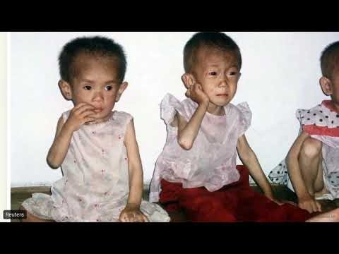 Comparing World Political Systems in Action - US Government 24.1