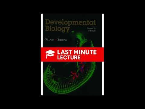 Brain Growth & Neural Development | Chapter 14 – Developmental Biology (11th)