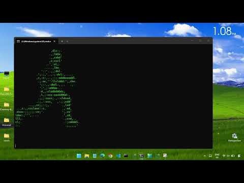 Secret ASCII animation in cmd #cmd #animation