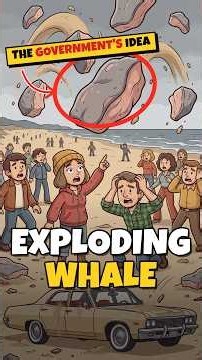 Exploding Whale: Oregon Blew Up a Whale on Purpose