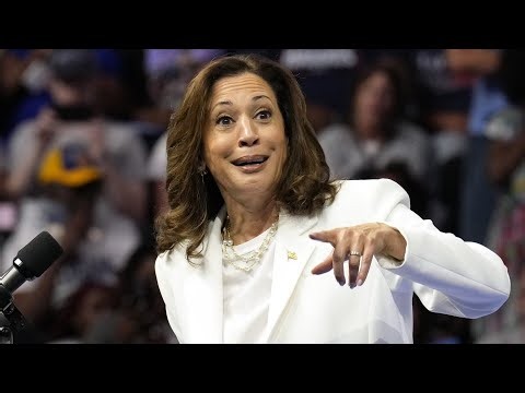 Democrats' 2024 autopsy report backfires horribly on Kamala Harris