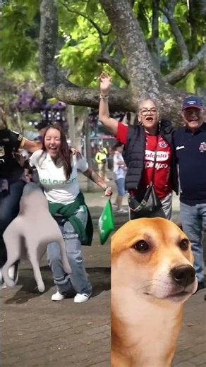 Nacional vs. DIM: What would you do if your team wins the championship? 💚❤️ - Telemedellín News