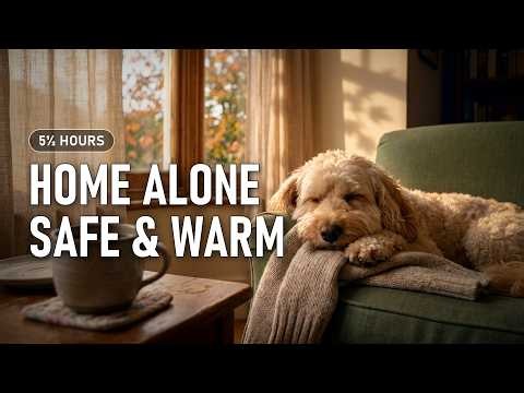 Calm Background Music for Dogs While You Are Away · Sunlit Armchair · 5+ Hours