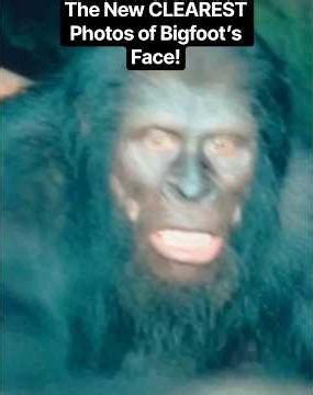 New CLEAR Photos of Bigfoot’s Face! #shorts #bigfoot