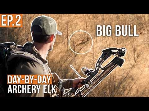 That's a STUD Bull | Archery Elk (EP.2)