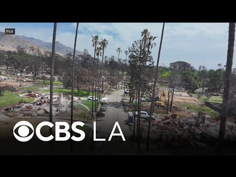 State Farm violated law in handling insurance claims for 2025 Los Angeles fires, California says