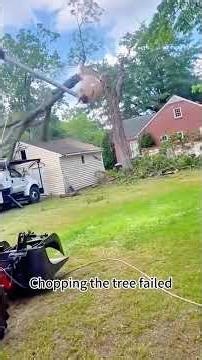 When Tree Cutting Goes Wrong #shorts #treecutting #fail