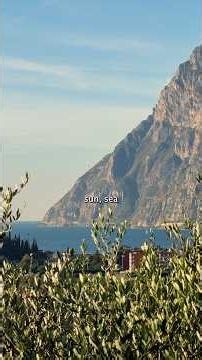 How one of the northernmost olive oil in the world is made. #oliveoil #gardatrentino