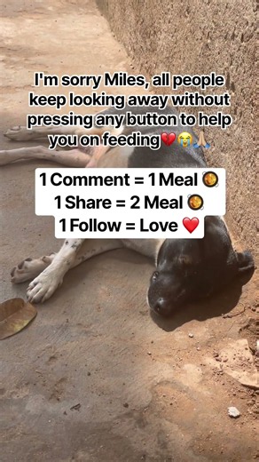 Please don't scroll past their story today. Even a $10 donation can help save lives🙏🏼