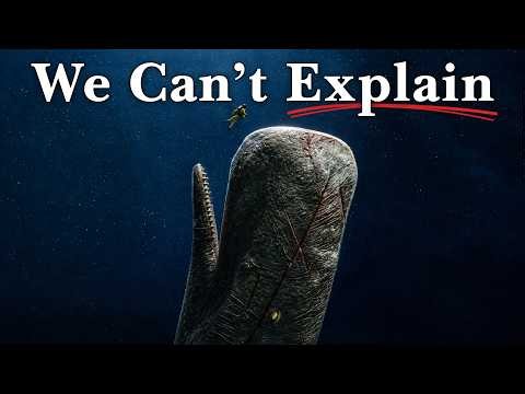 Why The World's Largest Predator Refuses to Kill Us
