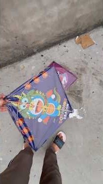Kite looting ❤️🪁on top roof 😍#kite #kiteflying #patang #patangbazi