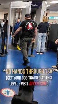 How To Get Through Airport Security Off Leash!