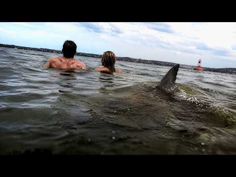 BREAKING: These 3 Vicious Shark Attacks In 26 Hours!