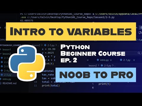 Learn Python Course (Noob to Pro) Ep. 2: Intro to Variables