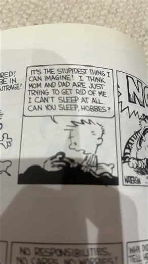 Calvin and Hobbes Skaji AAA #funny #memes #calvinandhobbes