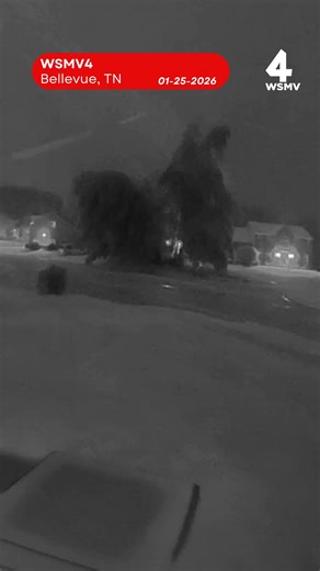 A Bellevue home’s Nest camera captured the moment a tree crashed down in the winter storm that started to hit Tennessee on Saturday. https://tinyl.co/4Fwc | WSMV 4, Nashville