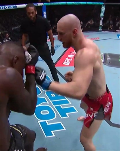 Pyfer landing blows early on! #ufcseattle