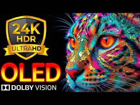 OLED Test: Pure OLED Clarity – 24K HDR 120FPS Dolby Vision 8K/4K Video