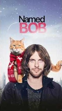 A cat changed his Destiny 🐈