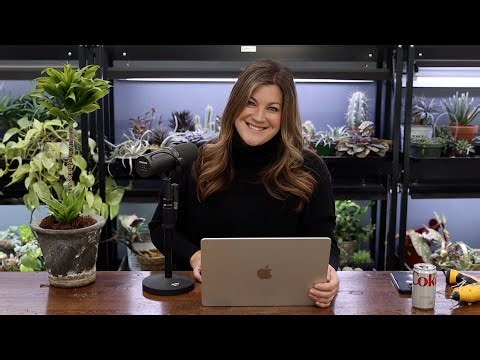 Do I Water Plants with Filtered Water? // How Did you Meet Paul? // Recap 🌿