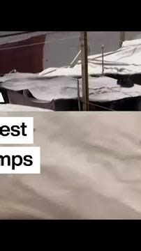 Rats infest Gaza's tent camps, biting children and spreading disease • FRANCE 24 English