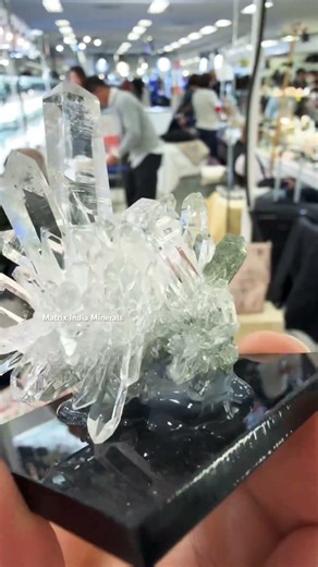 Mesmerizing Himalayan Quartz with Chlorite and Anatase #himalayan #quartz #crystals #minerals #gems