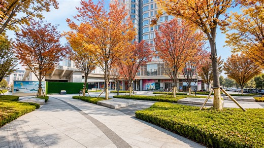Discover China’s hidden autumn paradise in a modern city