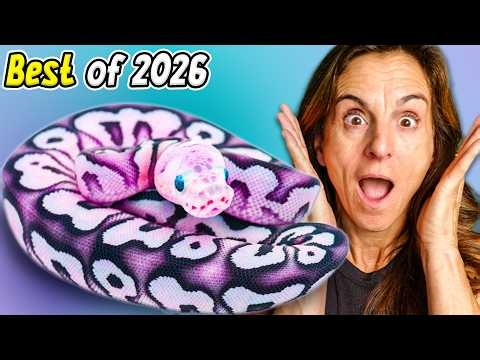 The BEST Baby Snakes We Hatched in 2026!