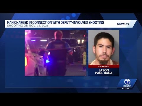Traffic stop leads to shooting of wanted felon by deputies