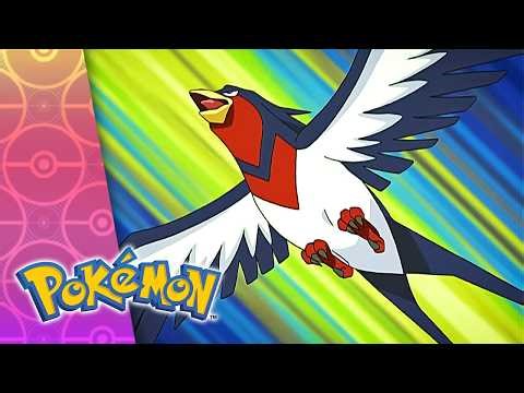 A Judgment Brawl | POKÉMON FULL EPISODE 36 | Season 8