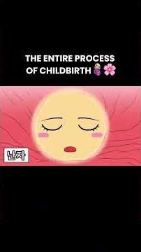 We Animated The Entire Process Of Childbirth