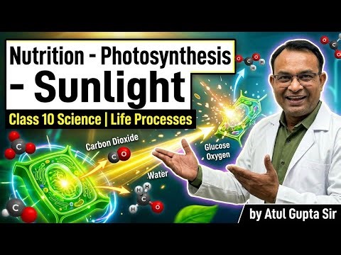 #Photosynthesis and Sunlight#Life Processes#Class 10 Science#CBSE#ncertclass10#cbseexampreparation