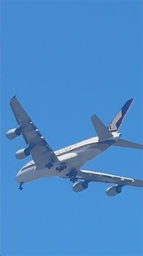 #shorts Singapore Airlines A380 Very Low Flyover